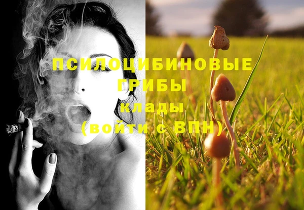 марки lsd Белокуриха